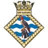 Seahawk badge